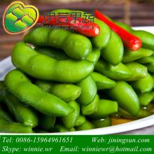 Green Edamame Beans Frozen Green Soybean in pod