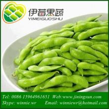 IQF GREEN SOYBEAN Frozen Crop Frozen pea