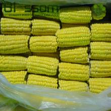 Chinese natural healthy IQF frozen sweet corn of 2014