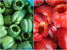  IQF  fresh frozen  mixed  vegetable bulk frozen color  pepper 