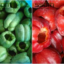 China bulk fresh wholesale pepper dices frozen pepper
