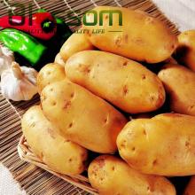 Good prices fresh potato top quality fresh  fruit  and  vegetables 