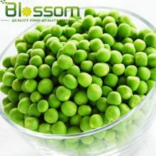 10kg box packaging bulk iqf vegetable frozen green pea