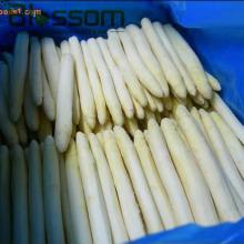 China IQF natural asparagus cuts fresh frozen white asparagus