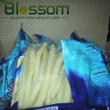 Top quality frozen canned white asparagus new crop white asparagus price