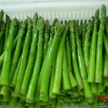 Top quality  frozen   green   asparagus  cut new crop  green   asparagus  spear