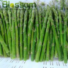 Top quality frozen green asparagus cut new crop frozen green asparagus spear