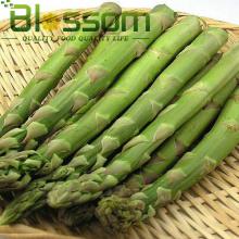Top quality  IQF   green   asparagus  cut new crop  IQF   green   asparagus  spear
