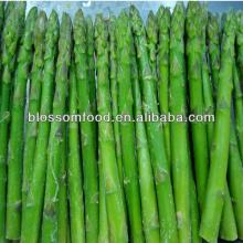Best 2014 New Crop Frozen green  asparagus  with  good  price