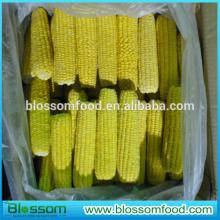 Food supplement natural Frozen sweet corn