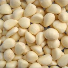 new crop IQF frozen  garlic  frozen vegetable