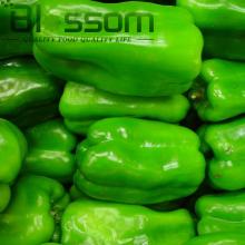 China wholesale health vegetable IQF pepper rich in vitamin e