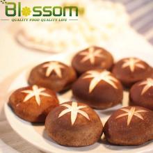 2014 new products fresh frozen shiitake mushroom