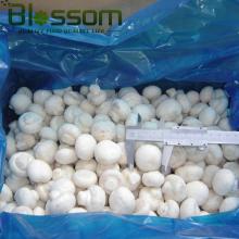 IQF frozen fresh champignons mushroom double  spore  mushroom