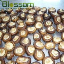 Supply new crop wholesale iqf fresh frozen shiitake mushroom