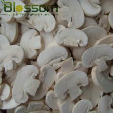 IQF frozen fresh sliced champignons sliced white mushroom