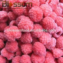 China iqf grade A fresh frozen raspberry
