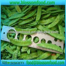 IQF Frozen Pea Pods