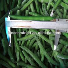 IQF Frozen Green Beans with HACCP