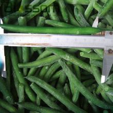 Chinese natural healthy IQF frozen green beans of 2014