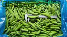 supply frozen sweet snap pea with good quality