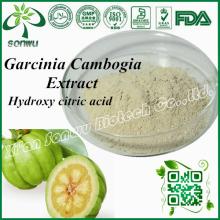 Garcinia cambogia extract 80% hydroxycitric acid