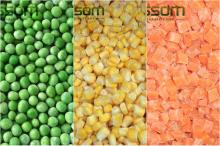 Wholesale bulk  frozen   IQF   green   bean s