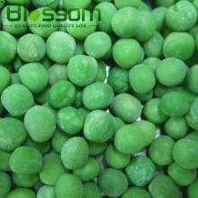 New crop IQF fresh frozen spring bulk frozen green peas