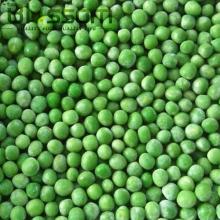 IQF bulk frozen green peas halal vegetables green string bean