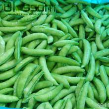 IQF natural fresh green beans with pod frozen sugar snap peas