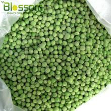 Wholesale mixed vegetable IQF bulk frozen  round   green   beans 