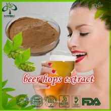 beer hops extract/beer hops price/hops for beer