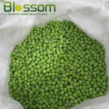 Bulk good fine frozen vegetable iqf round green bean price