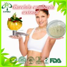 wholesale garcinia cambogia extract hca 95%