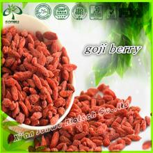 goji berry price/dried goji berry