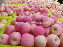 Fresh Fuji Apples