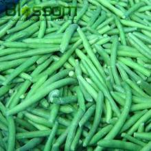 Bulk iqf frozen round green bean frozen green bean whole
