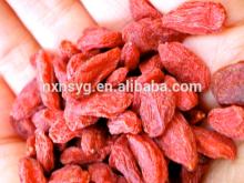 Wolfberry