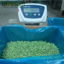2014 new products high quality iqf bulk frozen green pea