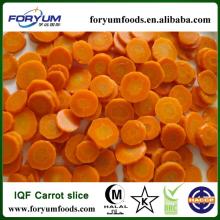 Frozen bright-orange carrot