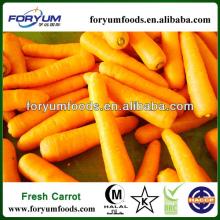 nutritions of carrots