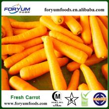 Frozen Diced Carrots