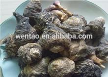 Yunan black Maca