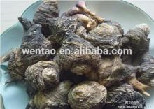 black  maca  powder  extract 