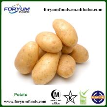 Fresh Potato Price In 2013