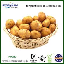 Hot Sale Fresh Yellow Potato