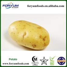 Fresh Potato Price 2013 New Crop