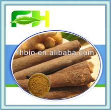 100% Natural Cinnamon Bark Extract Powder