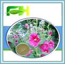 100% Natural Marshmallow Leaf Powder/Marshmallow Powder