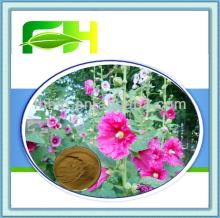 100% Natural Marshmallow Root Extract(Althaea Officinalis)/Marshmallow Powder